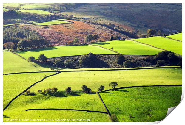 Fields and Dry Stone Walls in Nidderdale Print by Mark Sunderland