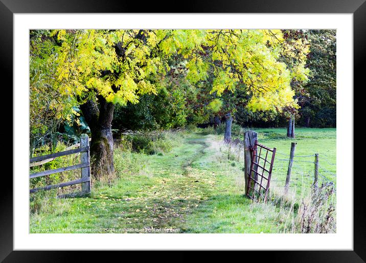 Nidderdale Way near Wath in Autumn Framed Mounted Print by Mark Sunderland
