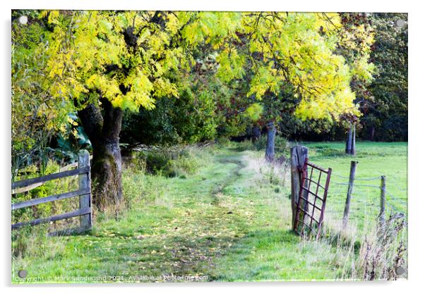 Nidderdale Way near Wath in Autumn Acrylic by Mark Sunderland