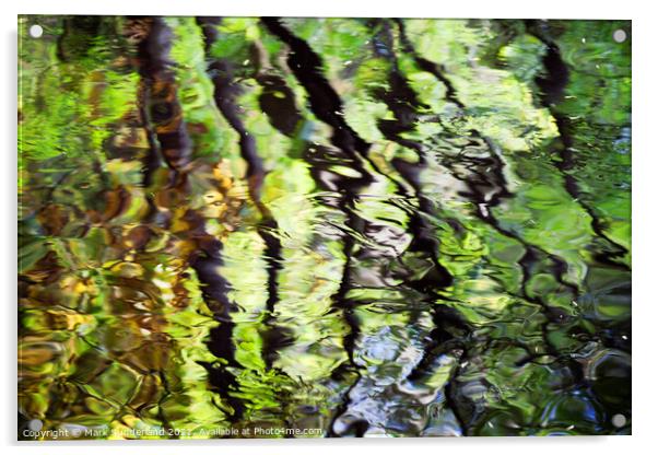 Autumn Reflections in the River Nidd Acrylic by Mark Sunderland