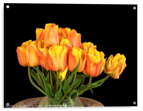 Tulip Arrangement Acrylic by Angela Cottingham