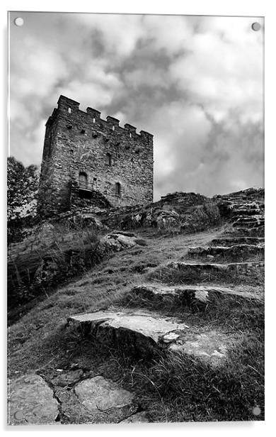 Dolwyddelan Castle Acrylic by Tony Bates