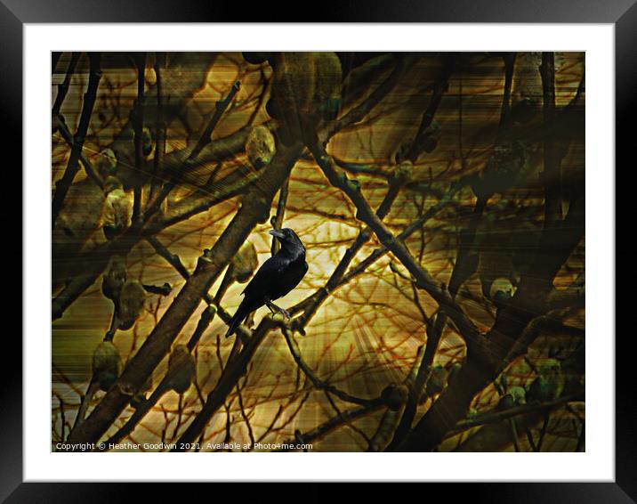 A Tangle of Willows Framed Mounted Print by Heather Goodwin