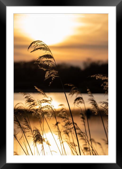 Norfolk Broads golden sunset Framed Mounted Print by Christopher Keeley