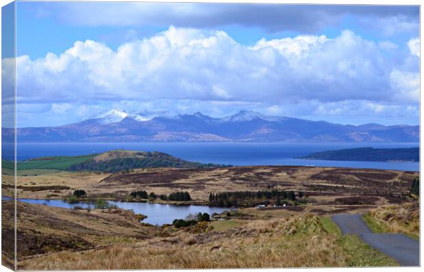 Beautiful view of Isle of Arran from Fairlie Moor  Canvas Print by Allan Durward Photography