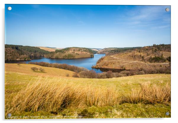 Llyn Brianne Reservoir, Mid Wales Acrylic by Heidi Stewart