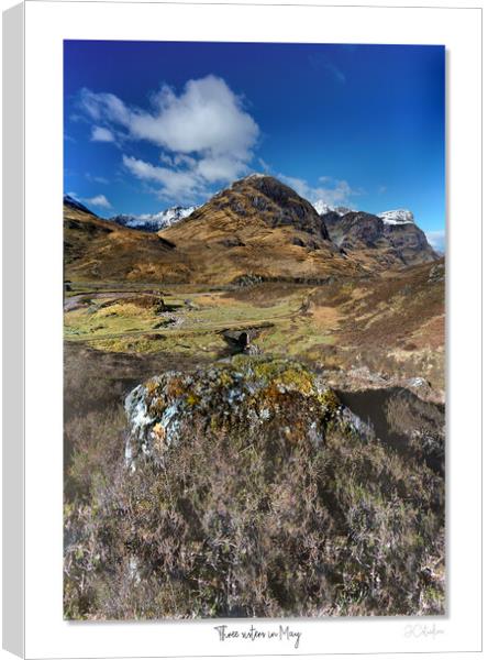 Three sisters in May Canvas Print by JC studios LRPS ARPS
