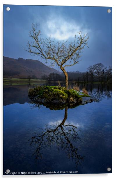 Lone Tree. Rydal Water Acrylic by Nigel Wilkins