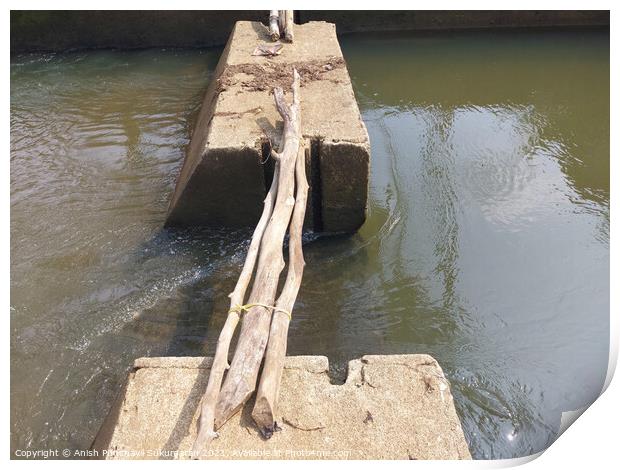 bridge made out of logs in village to cross the river Print by Anish Punchayil Sukumaran