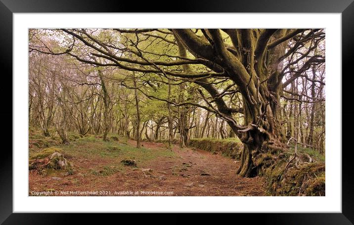 Welcoming In Yet Another Springtime. Framed Mounted Print by Neil Mottershead