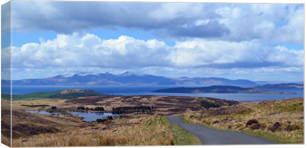 Fairlie Moor Road view over islands Canvas Print by Allan Durward Photography