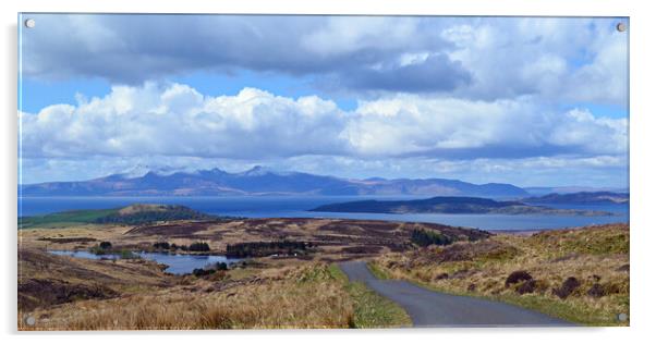 Fairlie Moor Road view over islands Acrylic by Allan Durward Photography