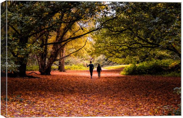 Hampstead Heath in Autumn Canvas Print by Mark Jones
