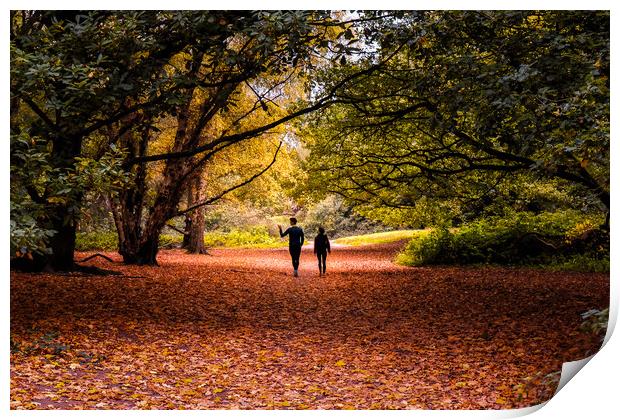 Hampstead Heath in Autumn Print by Mark Jones