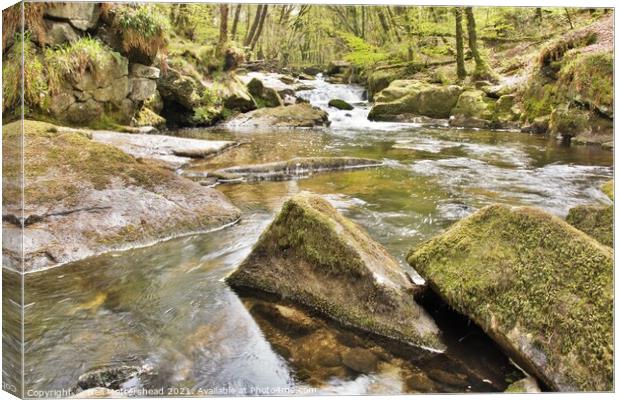 The River Fowey At Golitha. Canvas Print by Neil Mottershead