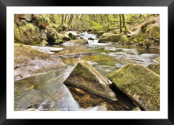 The River Fowey At Golitha. Framed Mounted Print by Neil Mottershead