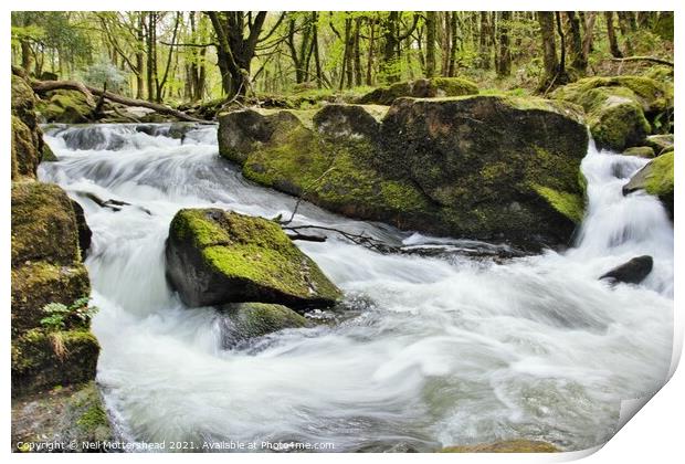 White Water On The River Fowey. Print by Neil Mottershead