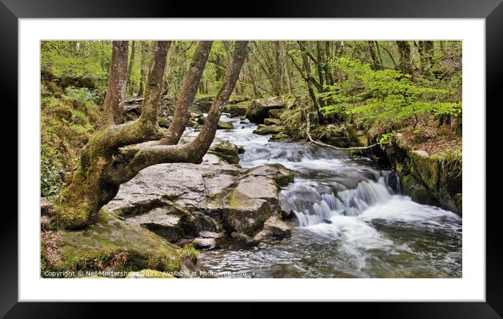 Springtime At Golitha Falls, Cornwall. Framed Mounted Print by Neil Mottershead