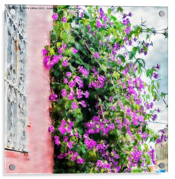 Purple Flowering vine Climbing a Wall Acrylic by Betty LaRue