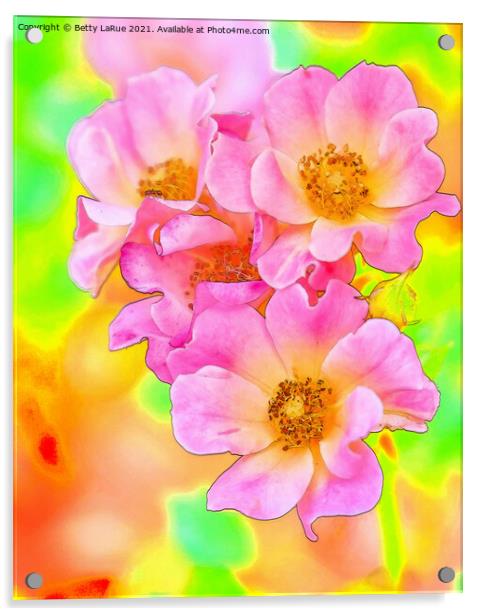 Pink Wild Roses Acrylic by Betty LaRue
