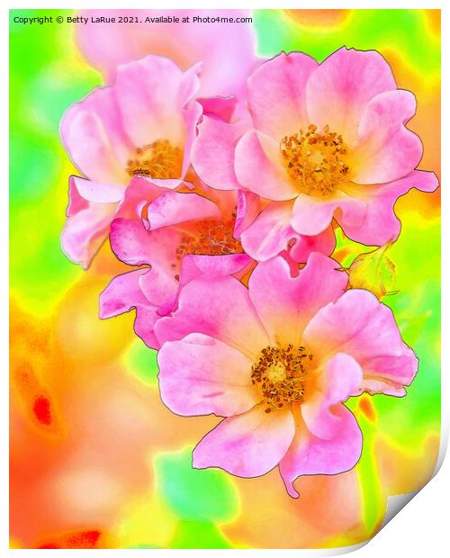 Pink Wild Roses Print by Betty LaRue