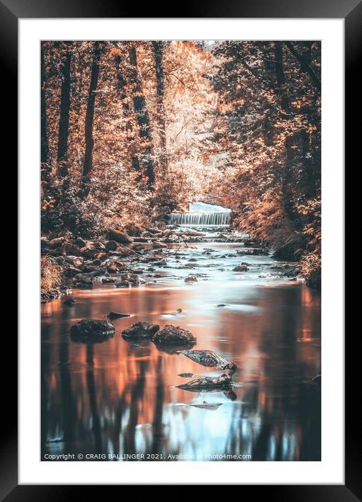 Autumn light streaming through the trees  Framed Mounted Print by Craig Ballinger