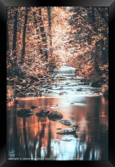 Autumn light streaming through the trees  Framed Print by Craig Ballinger