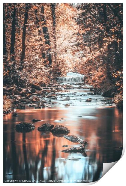 Autumn light streaming through the trees  Print by Craig Ballinger