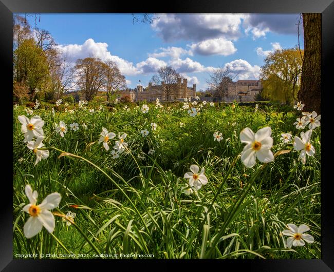 Beautiful Gardens at Leeds Castle in Kent, UK Framed Print by Chris Dorney