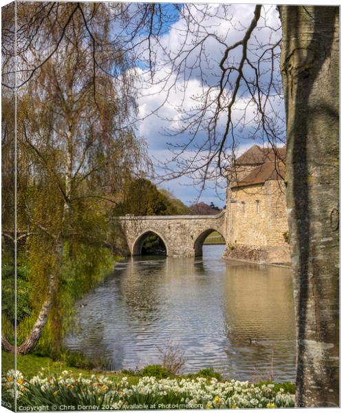 The Moat of Leeds Castle in Kent, UK Canvas Print by Chris Dorney