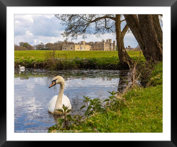 Swans at Leeds Castle in Kent, UK Framed Mounted Print by Chris Dorney