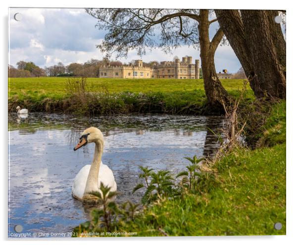 Swans at Leeds Castle in Kent, UK Acrylic by Chris Dorney