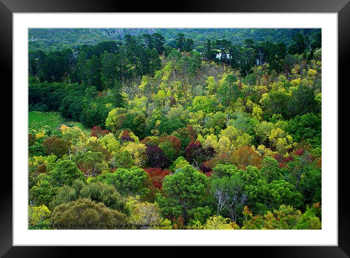 Seasons in the sun Framed Mounted Print by Bec Trinick