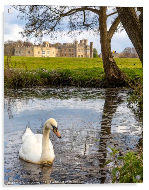 Swan at Leeds Castle in Kent, UK Acrylic by Chris Dorney
