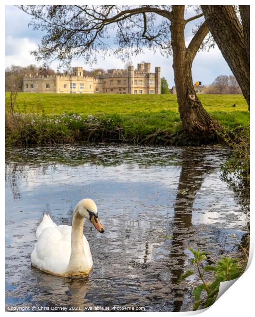 Swan at Leeds Castle in Kent, UK Print by Chris Dorney