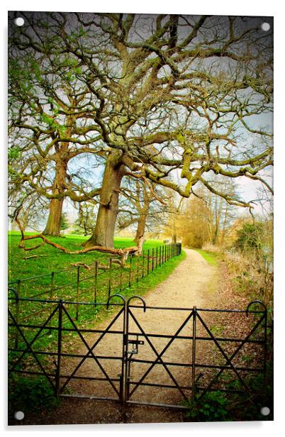 Morgaston Woods The Vyne Sherborne St John Hampshire Acrylic by Andy Evans Photos