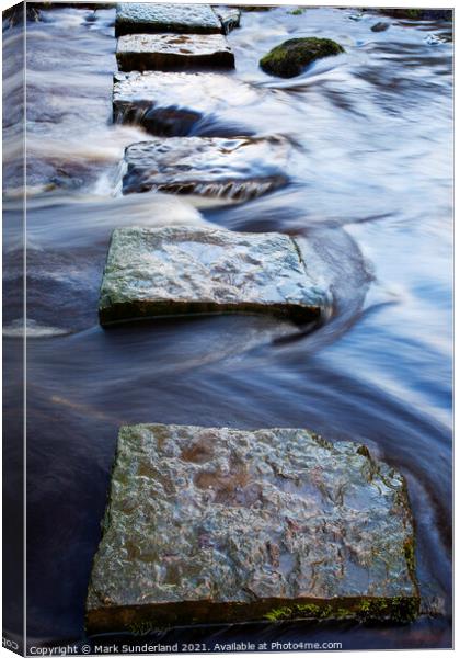 Stepping Stones over Kex Beck near Beamsley Canvas Print by Mark Sunderland