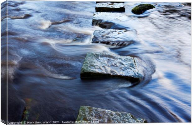 Stepping Stones over Kex Beck near Beamsley Canvas Print by Mark Sunderland