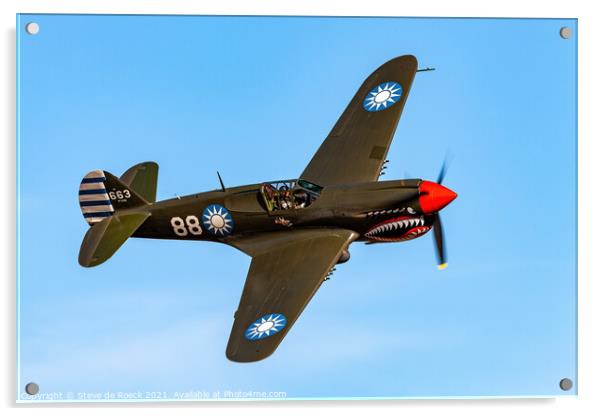 Curtiss P40 Warhawk Acrylic by Steve de Roeck