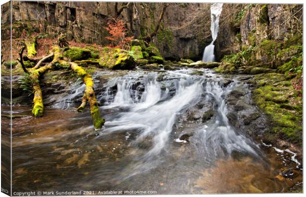 Catrigg Force near Stainforth in Ribblesdale Canvas Print by Mark Sunderland
