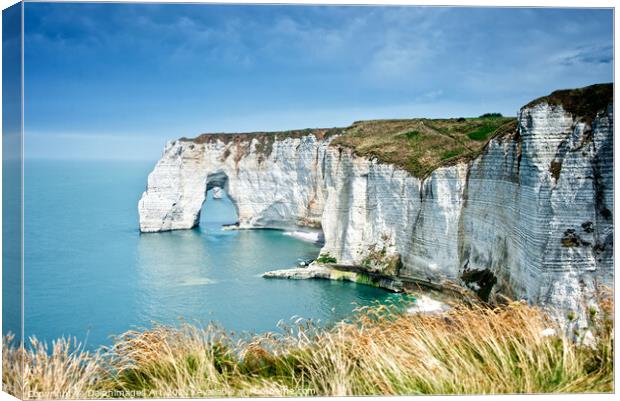 The cliff of Etretat, Normandy landscape, France Canvas Print by Delphimages Art