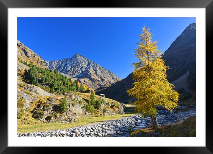Autumn in the mountains Framed Mounted Print by Andreas Föll