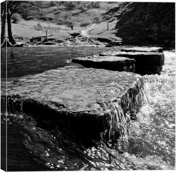 Stepping Stones Dovedale Canvas Print by Brett Trafford