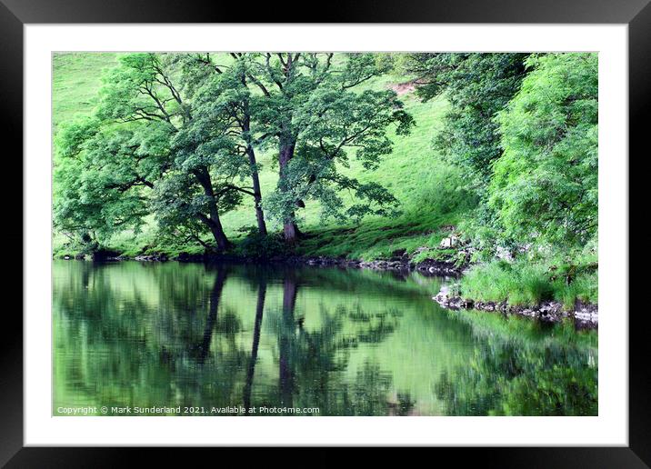 Summer Trees by the River Wharfe near Burnsall Framed Mounted Print by Mark Sunderland