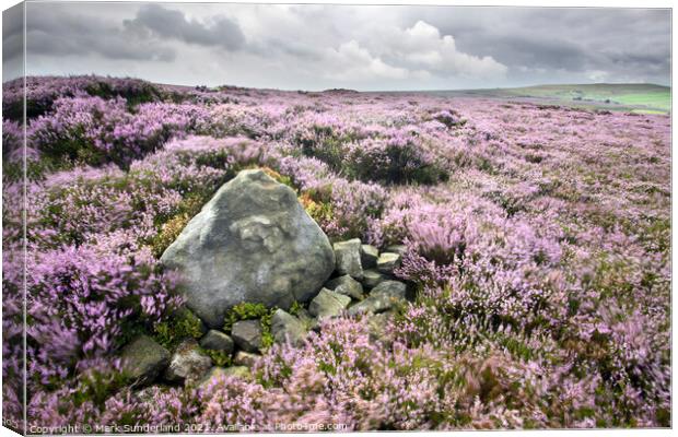 Stone and Heather Blowing in the Wind near Pateley Bridge Canvas Print by Mark Sunderland