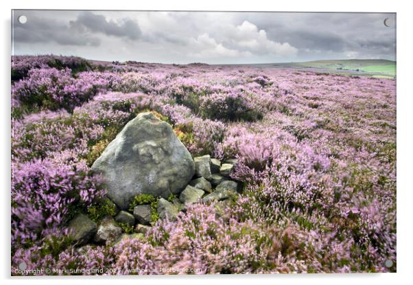 Stone and Heather Blowing in the Wind near Pateley Bridge Acrylic by Mark Sunderland