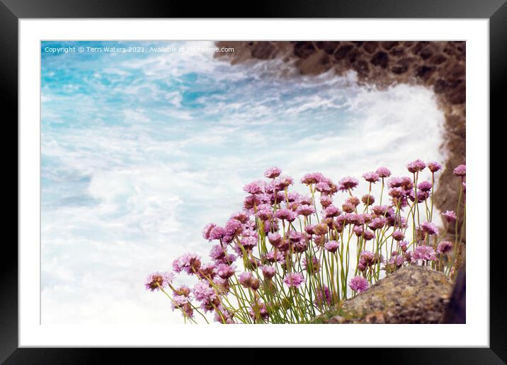 Thrift on the Coast Framed Mounted Print by Terri Waters