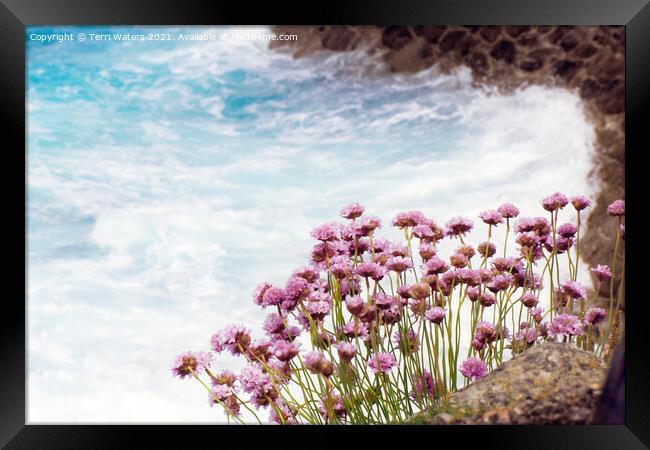 Thrift on the Coast Framed Print by Terri Waters