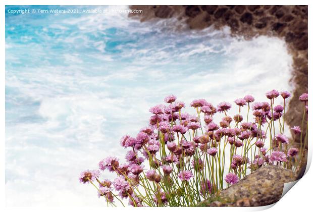 Thrift on the Coast Print by Terri Waters