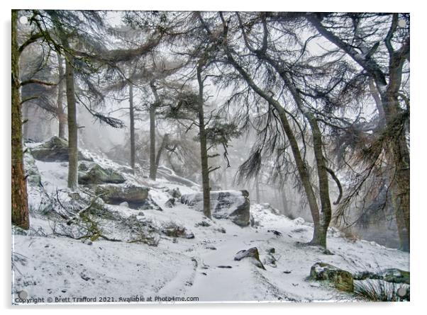 Winter woodland Acrylic by Brett Trafford